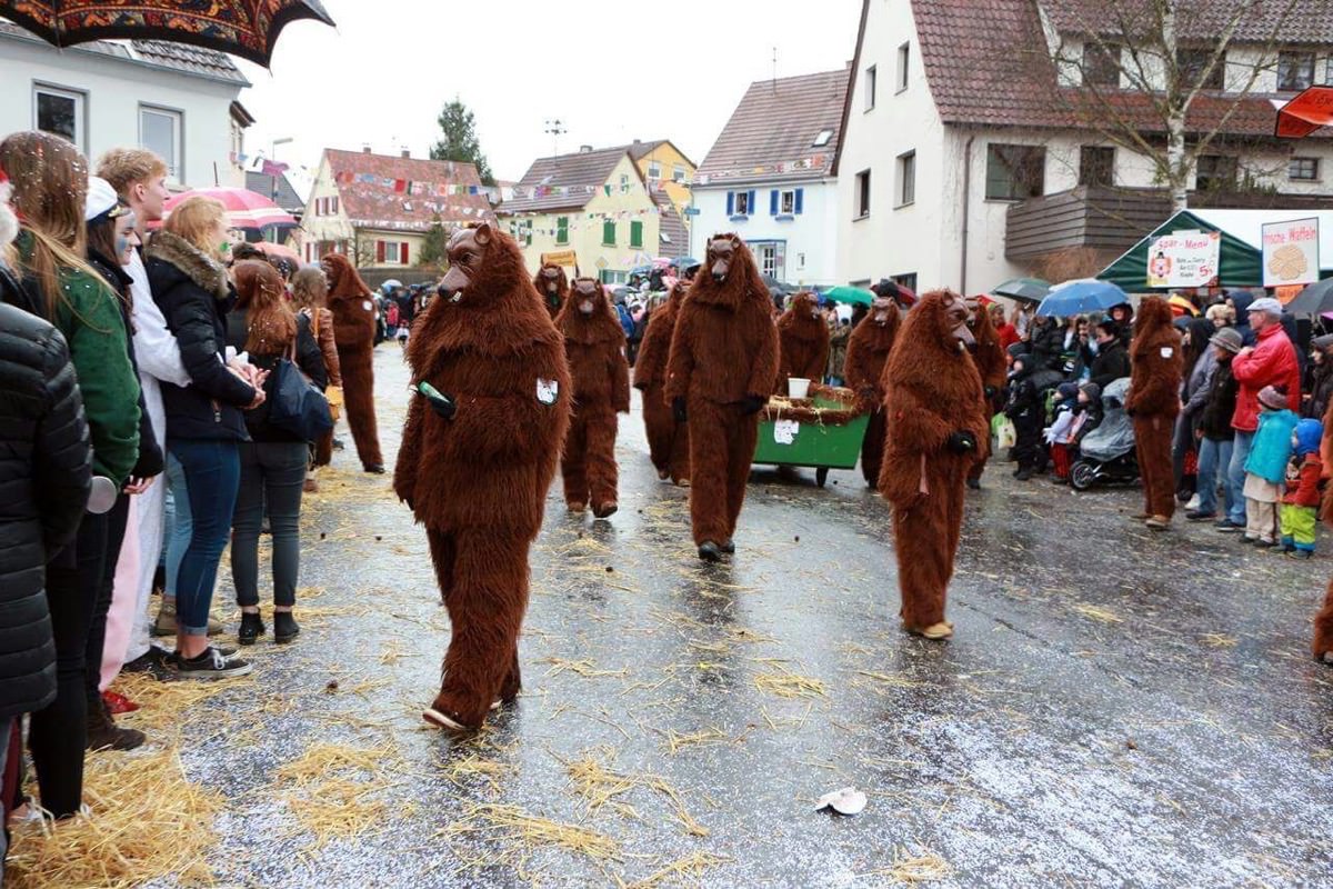 2017 RammertBären Rottenburg e.V.